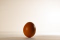 A chicken egg in an upright position, on a light background. Royalty Free Stock Photo