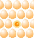 Chicken egg a white symmetrically Seamless pattern Royalty Free Stock Photo