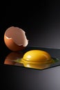 Chicken egg yolk and half of broken shell on glass Royalty Free Stock Photo