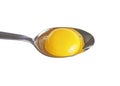 Chicken egg yolk in spoon Royalty Free Stock Photo