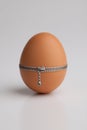 Chicken egg with zipper Royalty Free Stock Photo