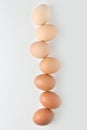 Chicken eggs are arranged in a gradient color