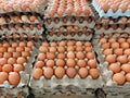 Chicken eggs arranged on tiered cartons Royalty Free Stock Photo
