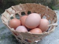 Chicken eggs in a bamboo basket Royalty Free Stock Photo