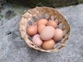 Chicken eggs in a bamboo basket Royalty Free Stock Photo