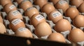 Chicken eggs with barcode stickers. Quality control concept. gen Royalty Free Stock Photo
