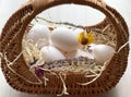 Chicken eggs in a basket. Beautiful white eggs.