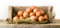 Chicken eggs in basket isolated. Organic food Royalty Free Stock Photo