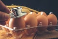 Chicken eggs that are being examined by a medical stethoscope Royalty Free Stock Photo