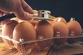 Chicken eggs that are being examined by a medical stethoscope Royalty Free Stock Photo