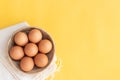 Chicken eggs, brown eggs, broken egg in carton box on yellow background. Top view natural eggs in carton box product concept Royalty Free Stock Photo