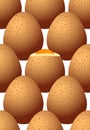 Chicken eggs brown with spots. Seamless pattern