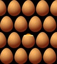Chicken egg brown with spots symmetrically located Royalty Free Stock Photo