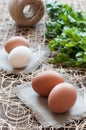 Chicken eggs, bunch of parsley and twine Royalty Free Stock Photo