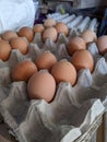 Chicken eggs in a cage Royalty Free Stock Photo