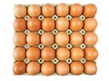 Chicken eggs in the cardboard box Royalty Free Stock Photo