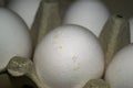 Chicken eggs in a cardboard box. Close up Royalty Free Stock Photo