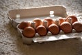 Chicken eggs in a cardboard box on a white background. Royalty Free Stock Photo