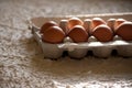 Chicken eggs in a cardboard box on a white background. Royalty Free Stock Photo