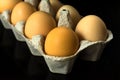 eggs in carton for storing and transporting chicken eggs isolated on a black background Royalty Free Stock Photo