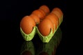 Chicken eggs in a cardboard container for the storage and transportation of chicken eggs isolated on black background Royalty Free Stock Photo