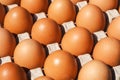 Chicken eggs in a cardboard package. raw eggs in a paper egg panel Royalty Free Stock Photo