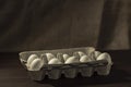 Chicken eggs in a cardboard tray. Royalty Free Stock Photo
