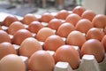 Chicken eggs in carton egg box Royalty Free Stock Photo