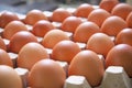 Chicken eggs in carton egg box Royalty Free Stock Photo