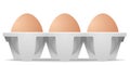 Chicken eggs in carton egg box