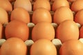 Chicken eggs Royalty Free Stock Photo