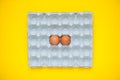 Chicken eggs in cassette on yellow background Royalty Free Stock Photo