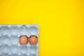 Chicken eggs in cassette on yellow background Royalty Free Stock Photo