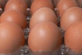 Chicken eggs close up. Chicken eggs in plastic packaging. Soft focus Royalty Free Stock Photo