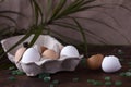 Chicken eggs of different natural colors in a cardboard box of 6 pieces and a shell, a wooden background and a green plant. Easter Royalty Free Stock Photo