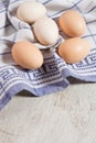 Chicken eggs on dishtowels Royalty Free Stock Photo