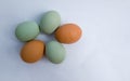 Chicken eggs and duck eggs making circle with white background Royalty Free Stock Photo