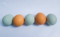 Chicken eggs and duck eggs making line with white background Royalty Free Stock Photo