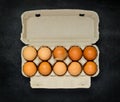 Chicken Eggs in Egg Carton Box Royalty Free Stock Photo