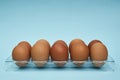 Chicken eggs in an egg holder. Full tray of eggs. Half an egg, egg yolk, shell. Food, protein in foods.
