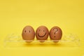 Chicken eggs in an egg stand. Tray for eggs. Half an egg, egg yolk, shell. Emotions and facial expressions on eggs, a