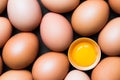 Chicken eggs and egg yolk Royalty Free Stock Photo