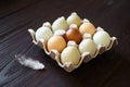 Chicken eggs feather in tray on wooden table. Nine eggs Royalty Free Stock Photo