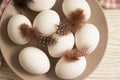 Chicken eggs, feather on wooden background farm Royalty Free Stock Photo