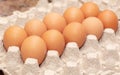 Chicken eggs are folded in a box Royalty Free Stock Photo