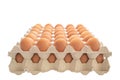 Chicken eggs are fresh in cardboard package made of recycled paper isolated on white background. with clipping path Royalty Free Stock Photo