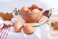 Chicken eggs Royalty Free Stock Photo