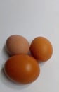 Chicken eggs that have different sizes and patterns. Chicken eggs on a white background. Selective focus.