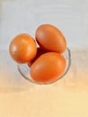 Chicken eggs have a very high protein content