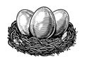 Chicken eggs in hay nest vector illustration. Organic farm products. Hand drawn sketch vintage Royalty Free Stock Photo